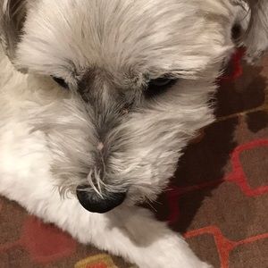 Meet your Posher, Cheryse